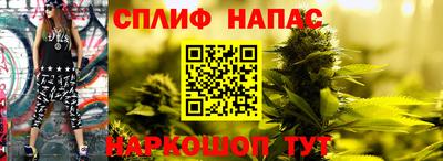 стаф Бугуруслан