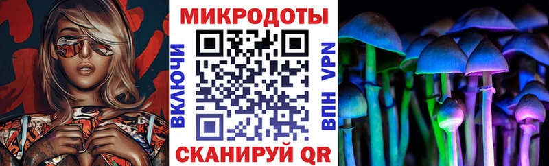 Галлюциногенные грибы Magic Shrooms  ссылка на мегу маркетплейс  Гагарин  купить наркоту 