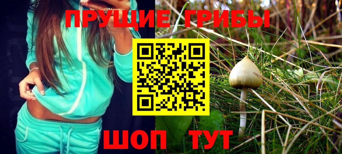 Галлюциногенные грибы мицелий  Галлюциногенные грибы Psilocybe  Гагарин 