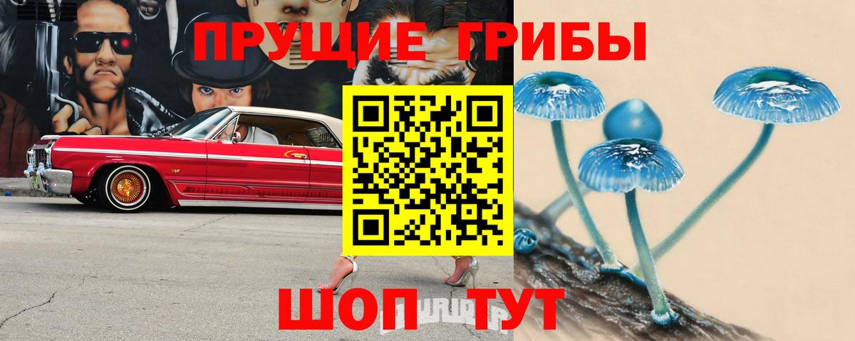 Гагарин  Псилоцибиновые грибы Psilocybe  Вход с VPN 