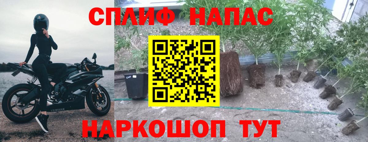 Шишки марихуана VHQ Гагарин